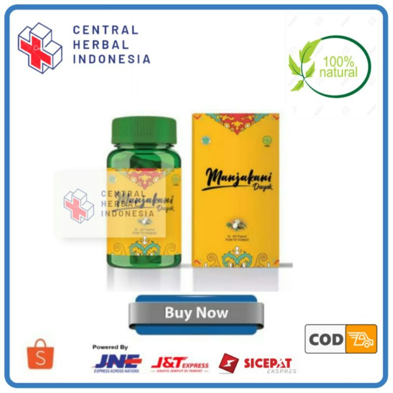 Terbaik Manjakani Dayak ORI Manjakani Obat Herbal Atasi Keputihan Asli Original