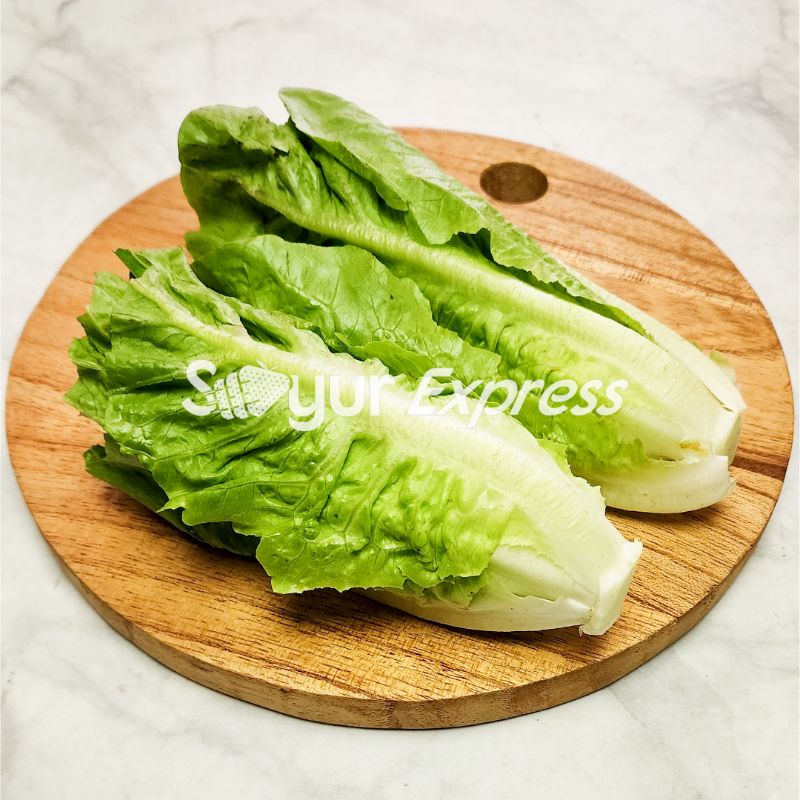 

KIRIM INSTAN Selada Romaine 150gr