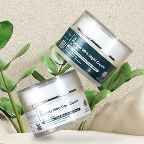 AMURA SKINCARE - AMURA CREAM - SERUM AMURA - Amura Day & Night Cream - - NIGHT CREAM