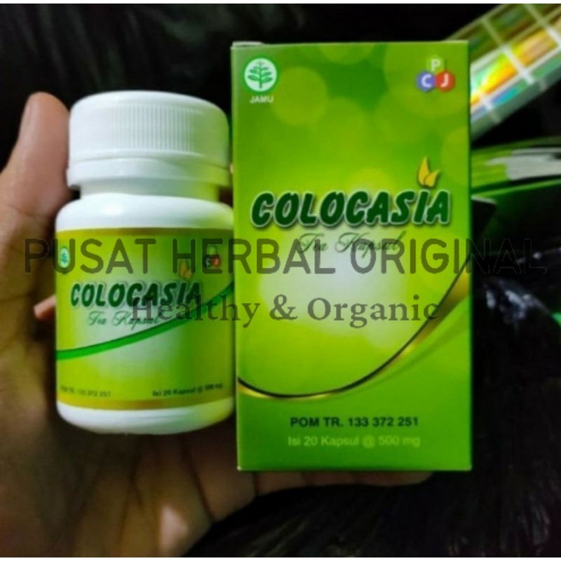 COLOCASIA Tea Capsul Penambah Cairan Sendi Lutut Original Lejel Herbal( Gratis Ongkir)