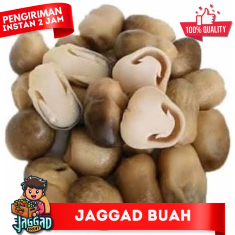 

Jamur Merang JAGGA FRUIT