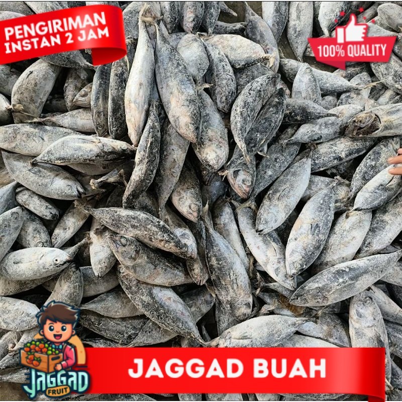 

Ikan Baby Tuna 10kg JAGGA FRUIT