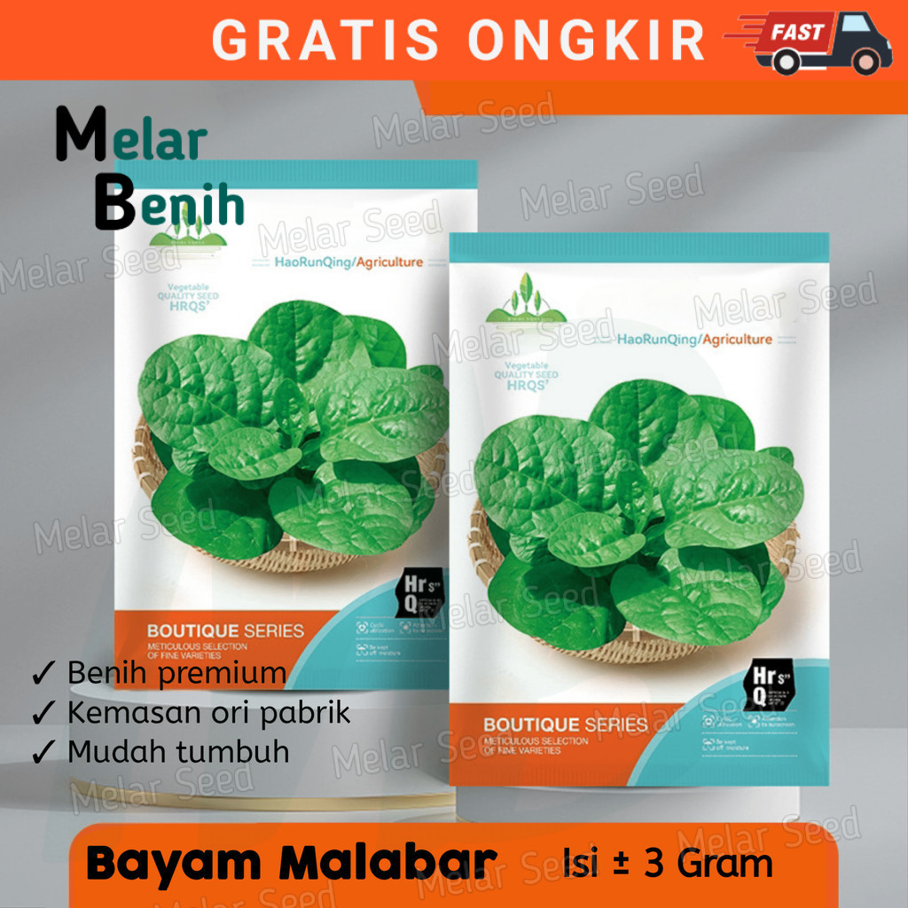 OL - BENIH BAYAM MALABAR BERKUALITAS KEMASAN PABRIK-BIBIT BAYAM Melar Farm