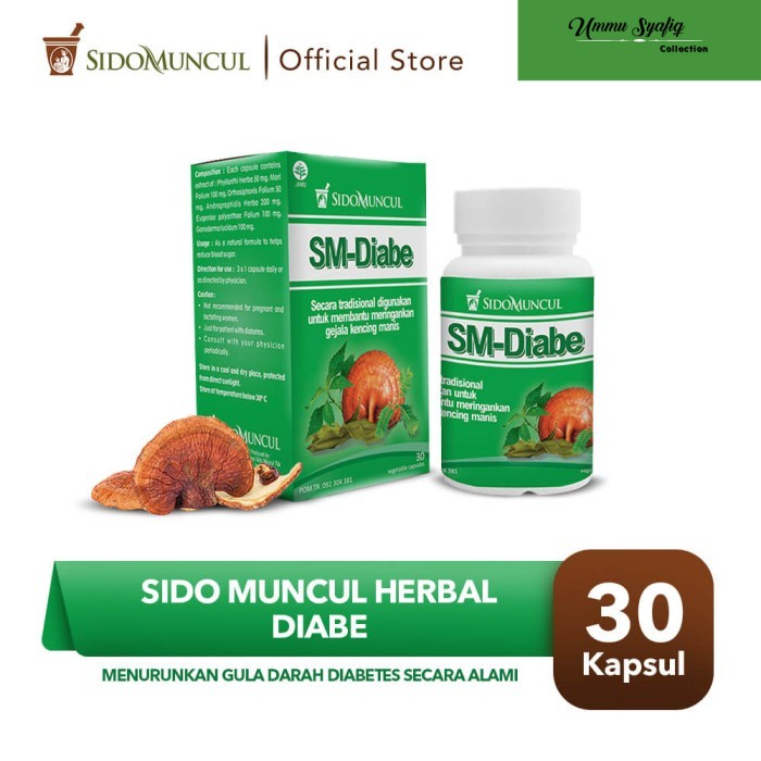 

SM-DIABE 30 kapsul Obat Diabetes / Kencing Manis Herbal SIdomuncul