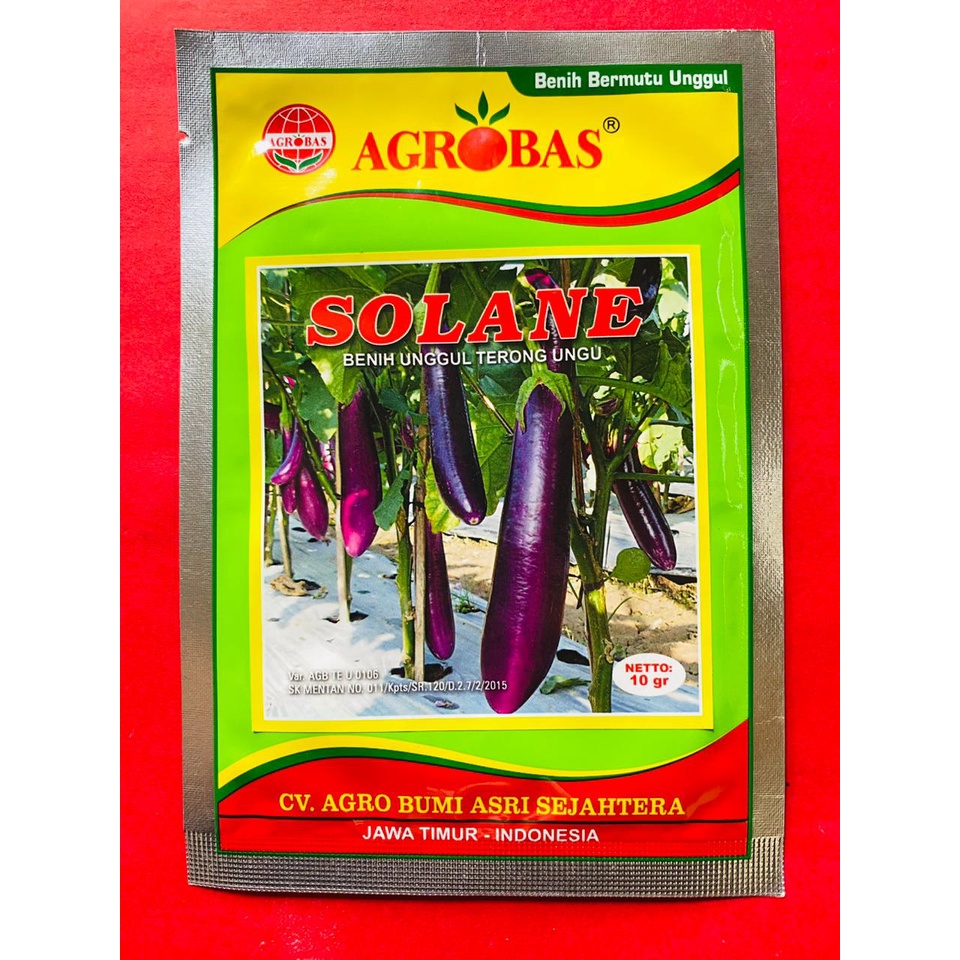 Benih Terong Ungu tua SOLANE   dari AGROBAS kemasan 10gr