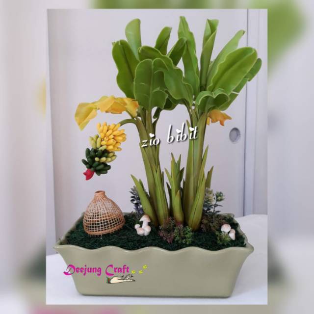 2 Biji Bibit Benih Pisang langka mini Hias bonsai