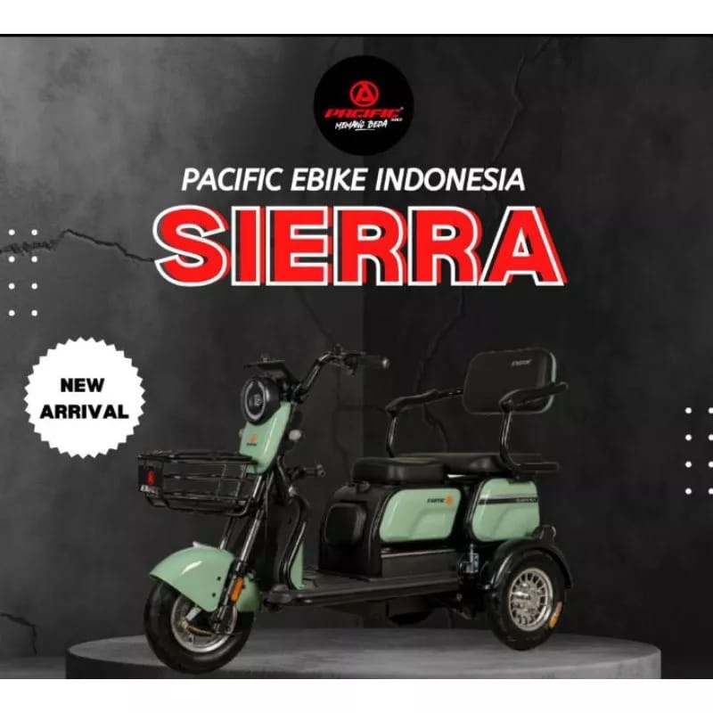 Motor Listrik Roda 3 Exotic Sierra 48V800W Electric Motorcycle