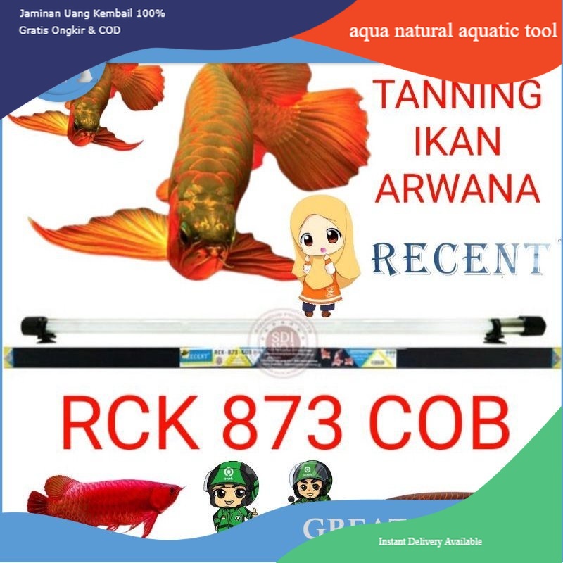 LAMPU TANNING AQUARIUM RECENT RCK 873 COB