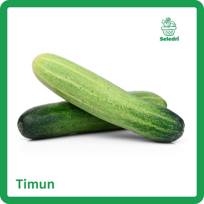 

Timun SP jumbo Segar Sayur Segar Bogor