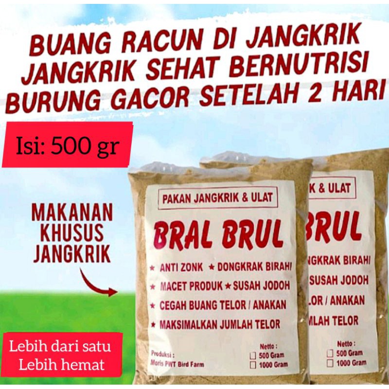 BRAL BRUL pakan khusus burung murai burung Kacer indukan