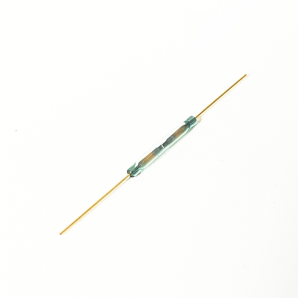 Reed Switch Gold Besar Magnet Magnetic Sensor