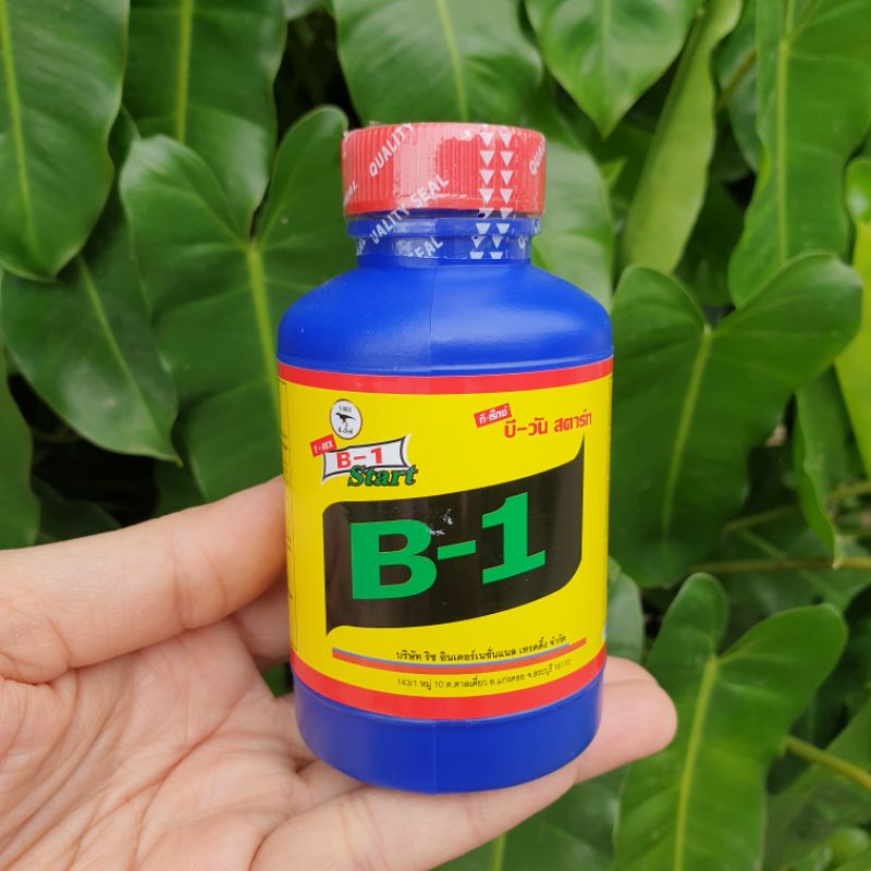Vitamin B1 cair vitani liquinox start B1 plus B1 Thailand pupuk untuk perangsang akar tanaman anti s