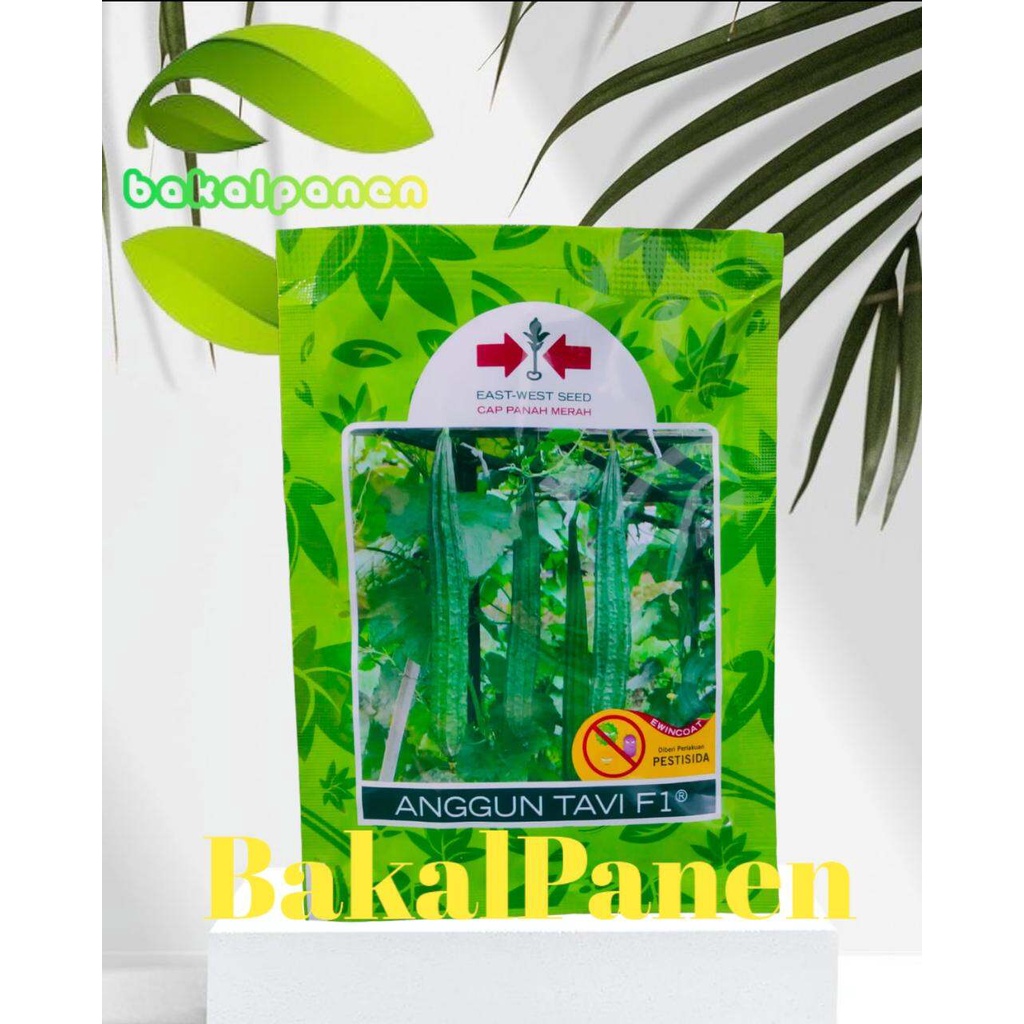 Benih bibit gambas oyong Cap Panah Merah ANGGUN TAVI