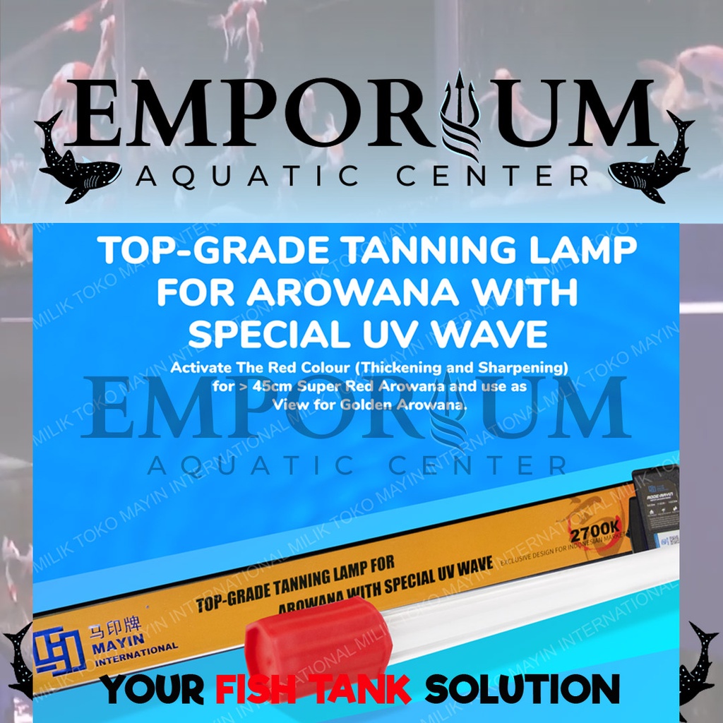MAYIN TANNING 2700 K - 92CM - LAMPU TANNING T5 CELUP SUBMERSIBLE ILLUMINATE