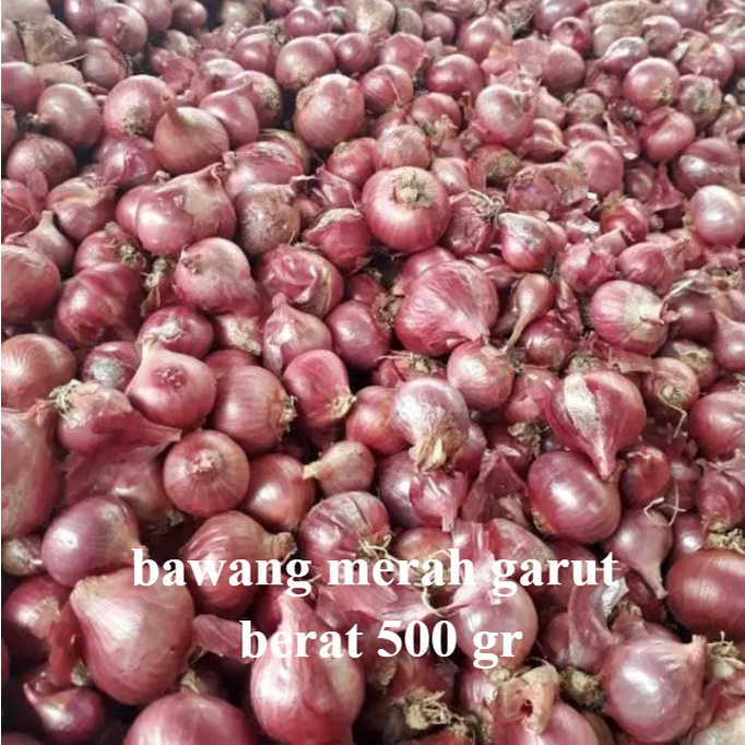 

Bawang Merah Kupas 500 gr / UMKM lokal Garut