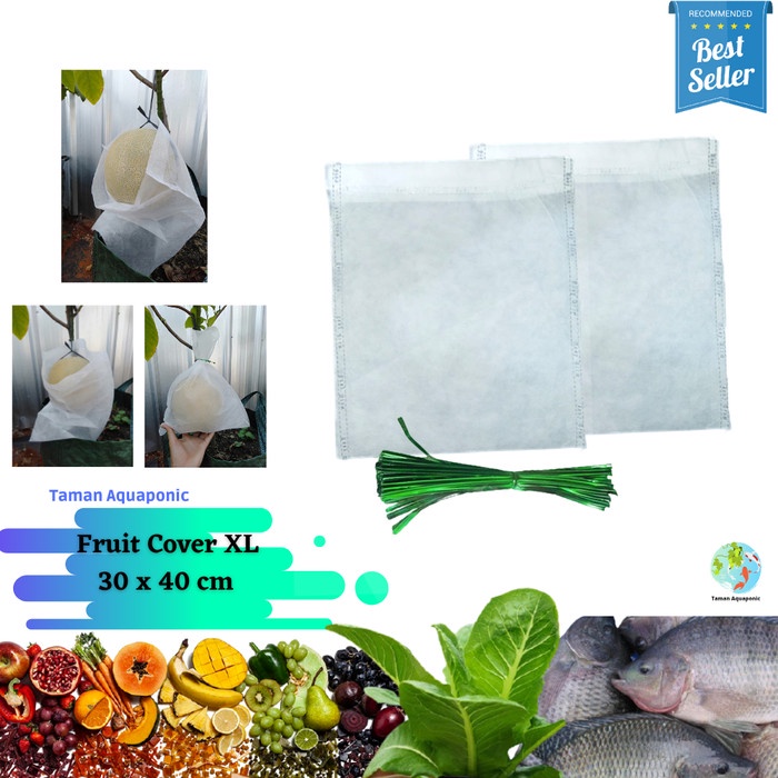 Fruit Cover/Pembungkus Buah XL 25 pcs
