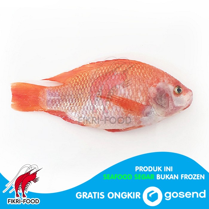 

Ikan Nila Merah Segar 1kg