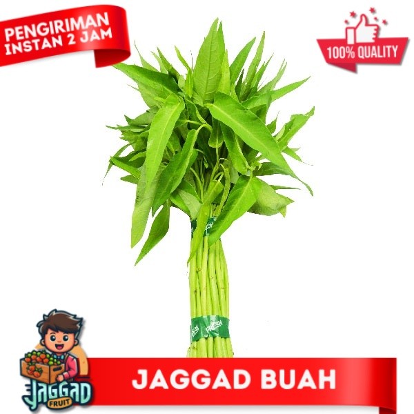 

Daun Kangkung Ikat 150 Gr JAGGA FRUIT