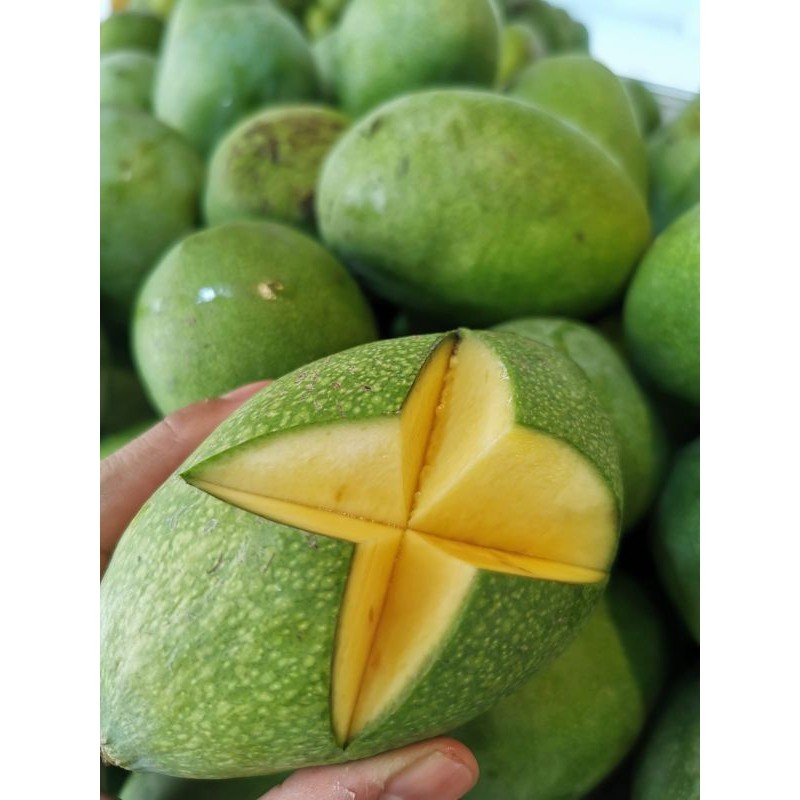 

Buah Mangga Manalagi Manis