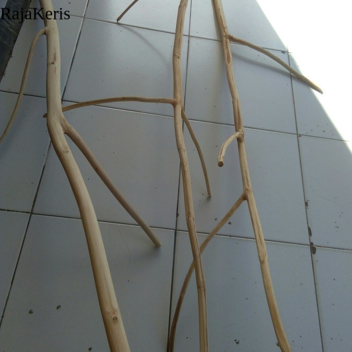 ranting kayu jati cabang 100 cm - ranting kayu macrame FXN27