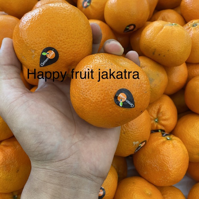 

Jeruk clemen gold mandarin | jeruk tampa biji clemen gold fresh 1 kg