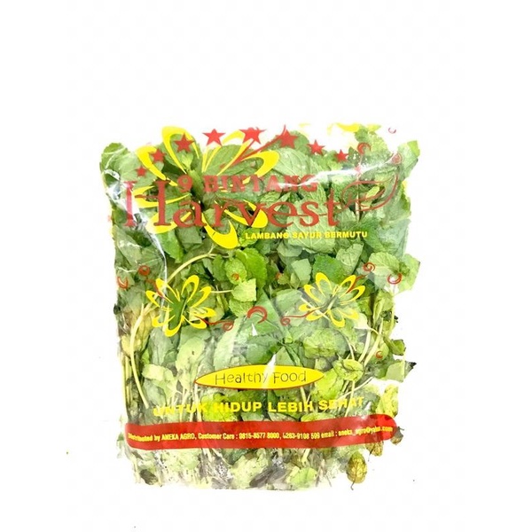 

Harvest Daun Mint [ 100gr/ 1 Pack ]