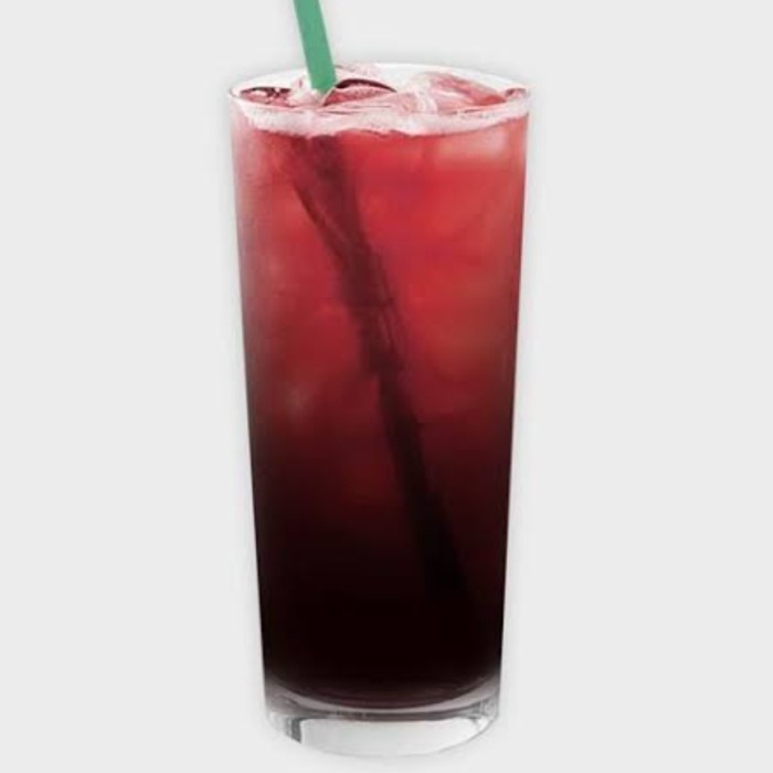 

✨PROMO✨ -Minuman kekinian syrup rasa blackcurrant 640ml