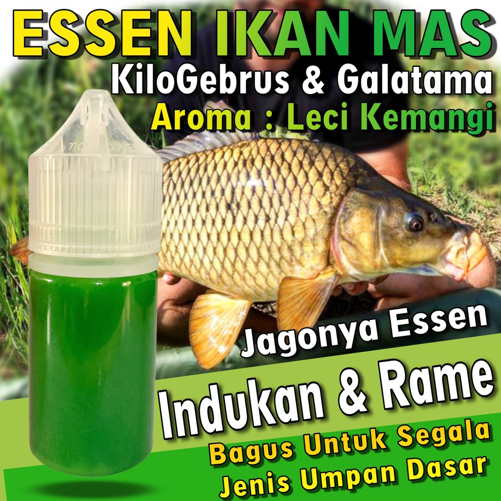 Essen Super Ikan Mas Aroma AMIS WANGI Leci Kemangi Paling Bagus Buat Ikan Indukan Dan Rame, Essen Ik