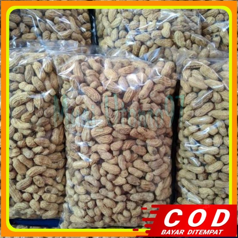 

1Kg Kacang Kulit Sangrai Madura Camilan Kacang sangrai Camilan Kacang Oven Kacang Di Sangrai
