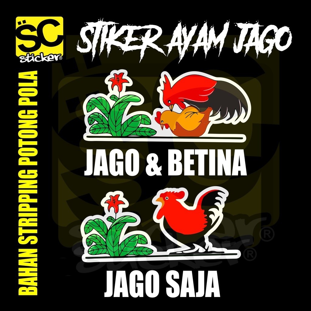 STIKER AYAM JAGO MANGKOK LUCU HELM KYT KYOTO UNIVERSAL PRINTING FULL CUTTING POLA  LANGSUNG KIRIM