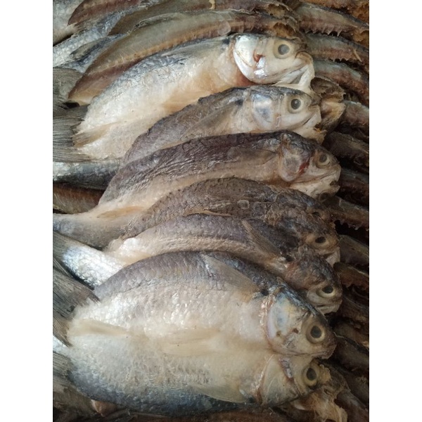 

PROMO/ ikan asin belanak belah tawar 1 Kg fresh.