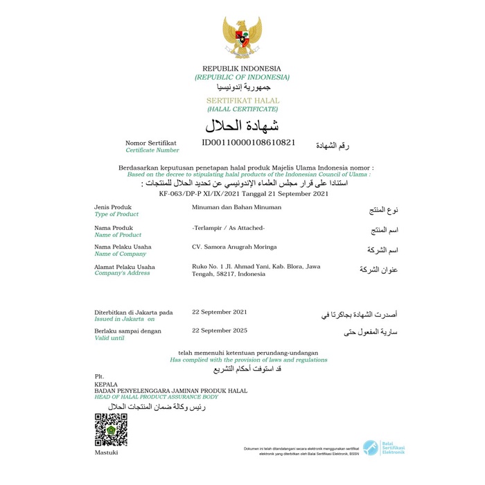 

✨PROMO✨ -Teh Celup Daun Kelor Asli MoriTea, Isi 20 Bag 100% Organik