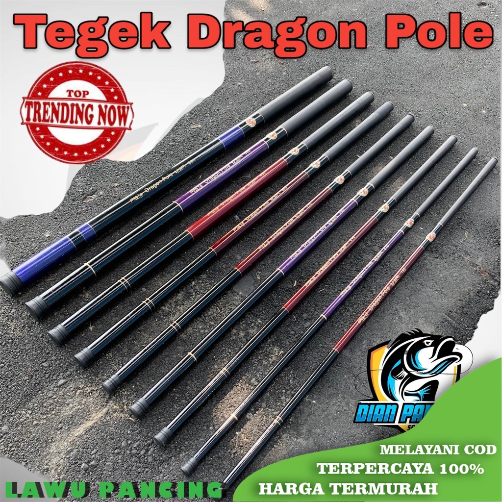 Joran Pancing Tegek HAIZHEN ARENAE II R dan DRAGON POLE