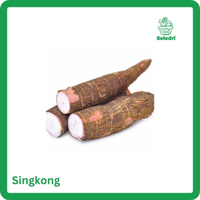 

singkong segar