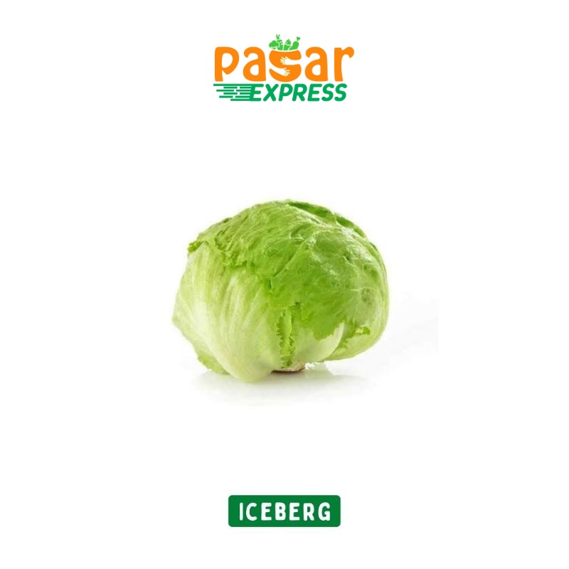 

Iceberg / Head Lettuce Per Kg / Produk Langka