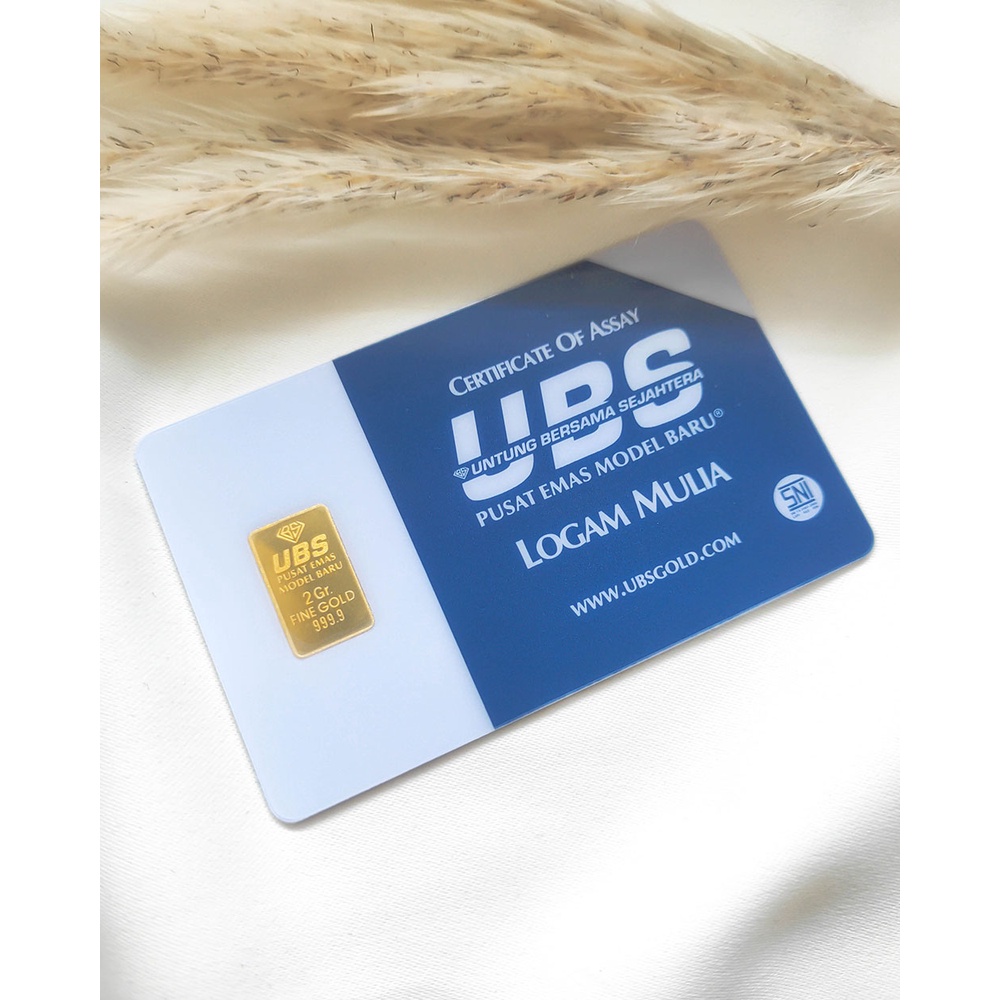 Logam Mulia Ubs Gold 2-10 Gr