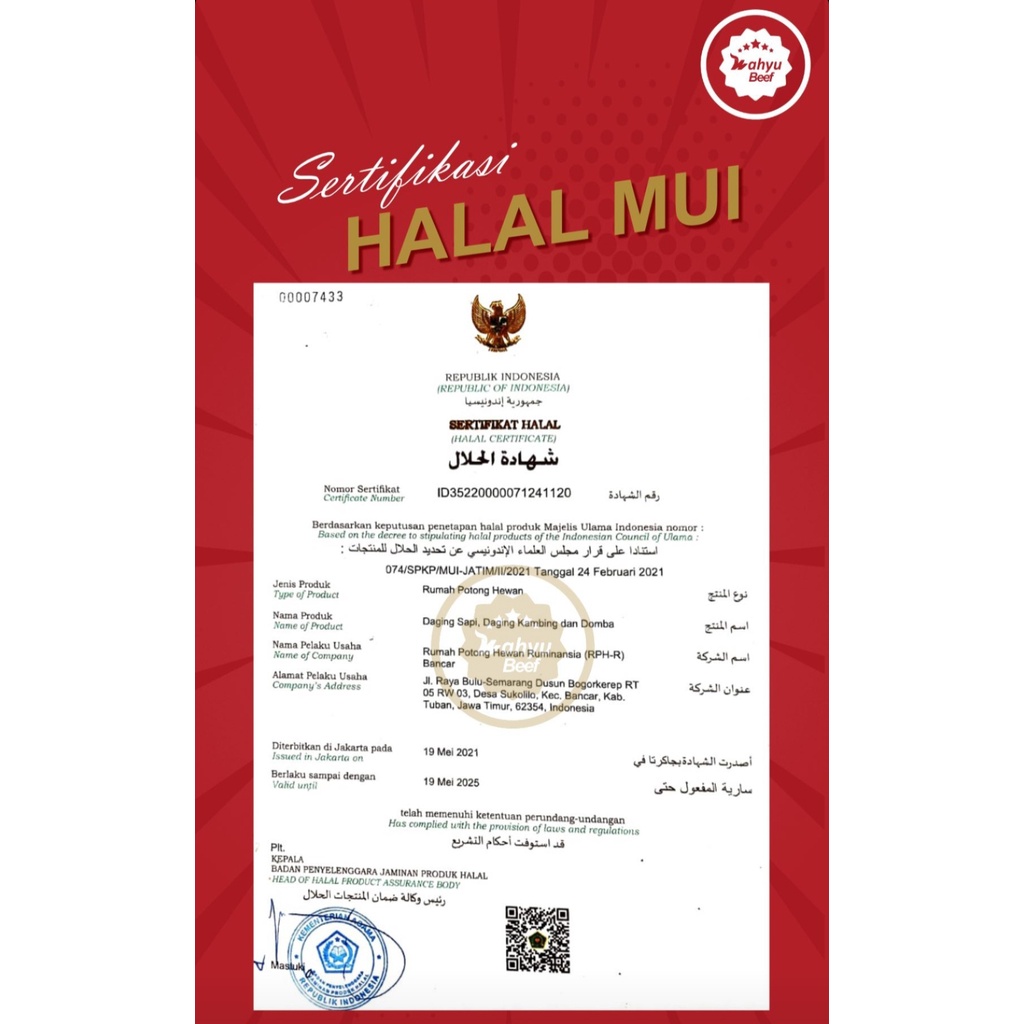 

TETELAN SAPI ORGANIK GRASS FED/TETELAN SAPI ORGANIK HALAL