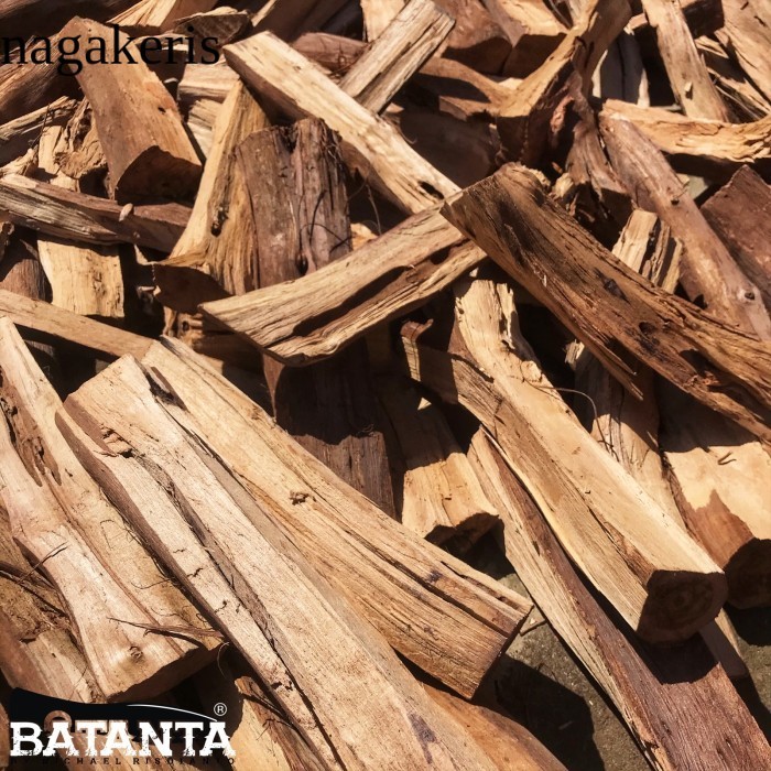

Kayu bakar apel jawa/jambu air - Rose apple/Java apple fire wood laris
