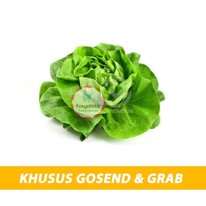 

Lettuce Butterhead - FasyAnita Mart Denpasar