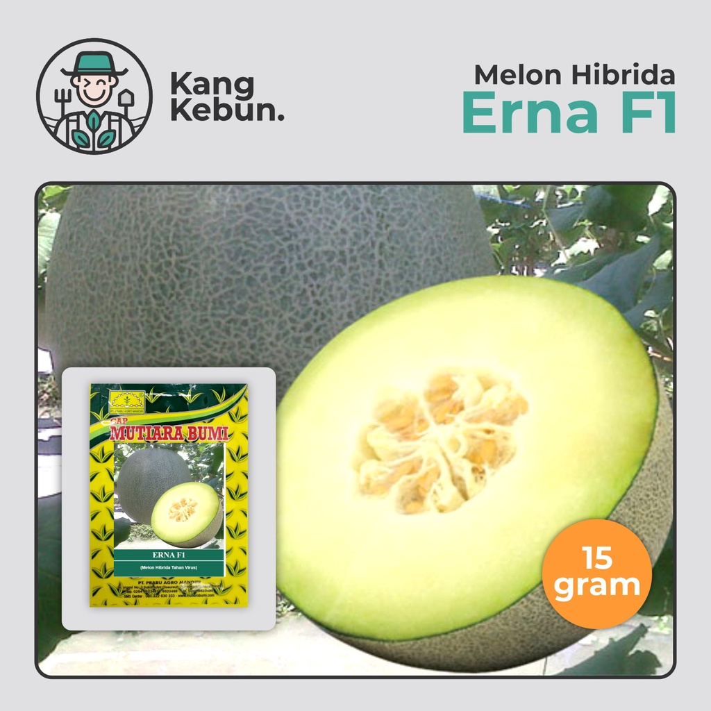 Benih Melon Erna F1 15 Gram isi 500-600 biji Cap Mutiara Bumi