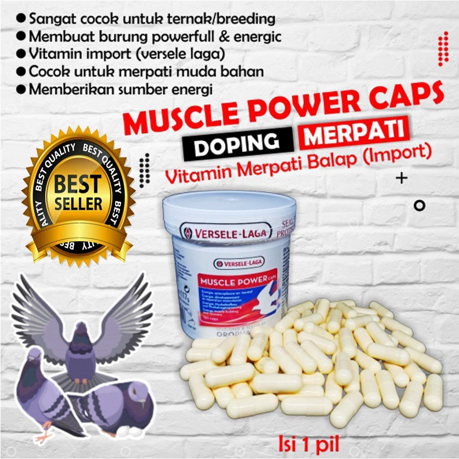 READY MUSCLE POWER VERSELE LAGA VITAMIN SUPLEMEN OBAT MEMBENTUK OTOT BURUNG MERPATI BALAP LOMBA STAM