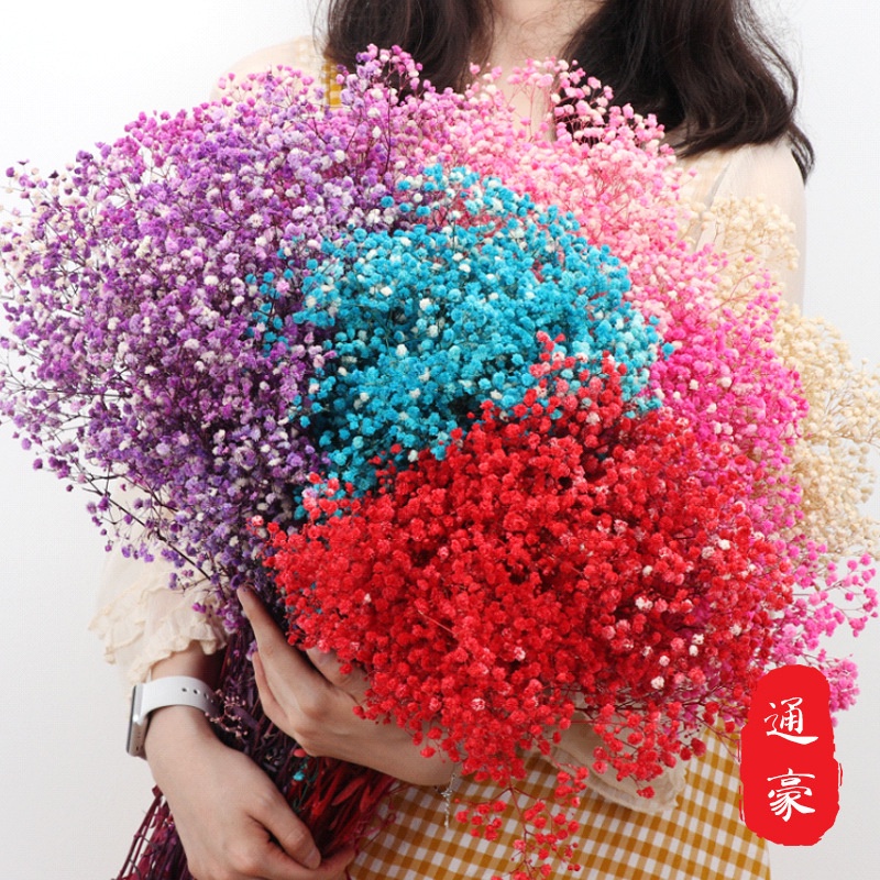 

COD SUPPLYFLORIST - BABY BREATH NATURAL DRIED FLOWER DAN WARNA BUNGA KERING DRIED FLOWER 1 PACK / HALF PACK PRESERVED FLOWER