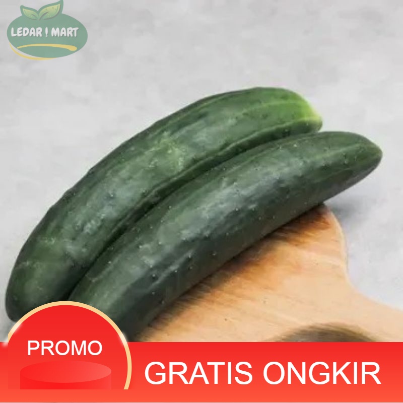 

Mentimun Jepang Organik Kyuri 1kg 1 pack / Timun Jepang Kyuri