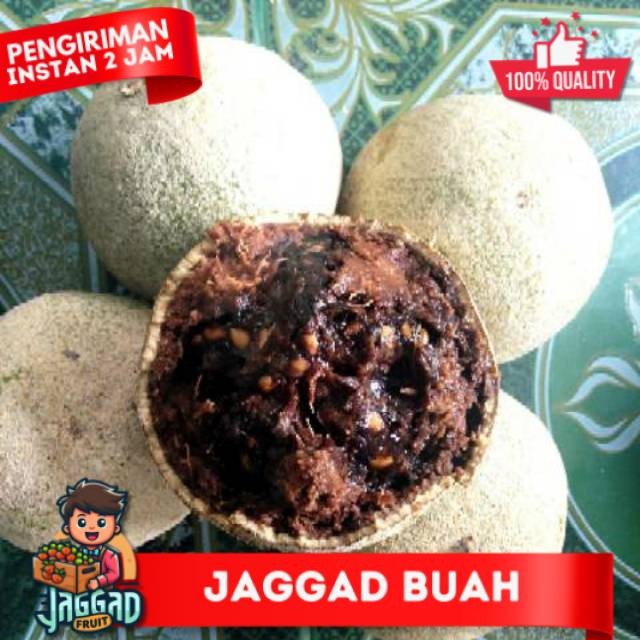 

Buah kawista/kawis ± 1kg JAGGAD FRUIT