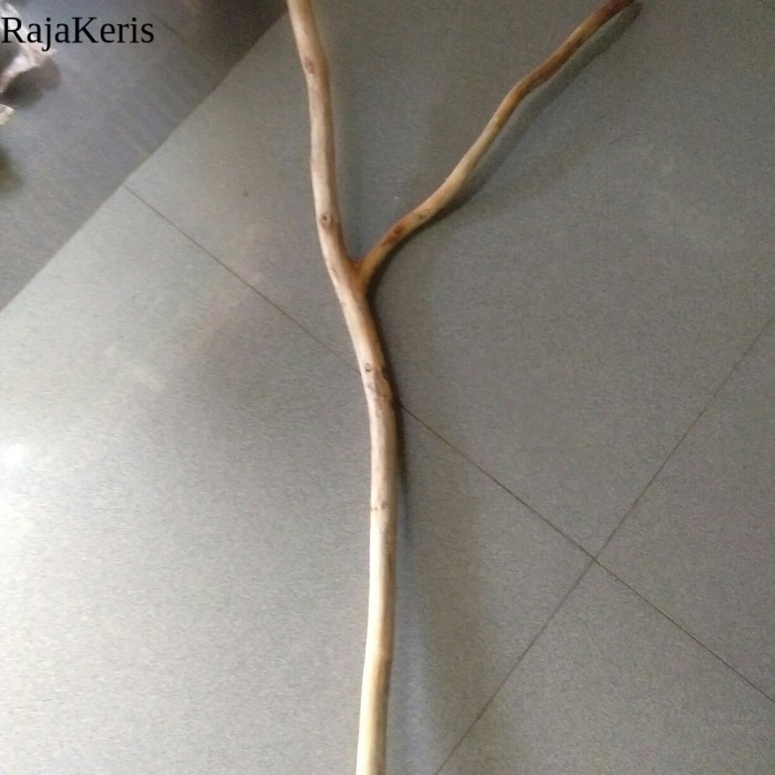 ranting kayu jati cabang 120 cm - ranting kayu macrame FXN27