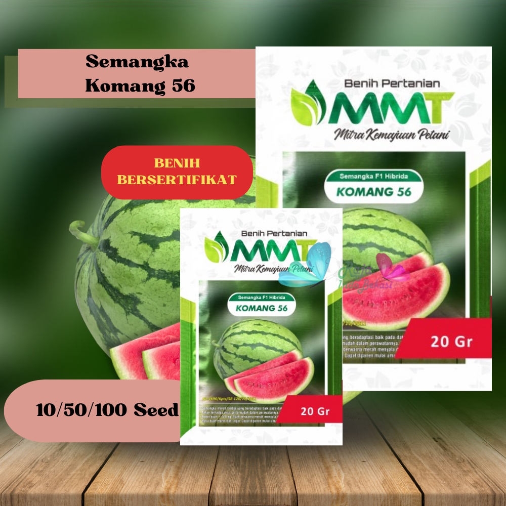 Biji Benih Semangka Komang 56 F1 Ori - Repack 10 & 50 Bibit Semangka Besar Merah Berbiji