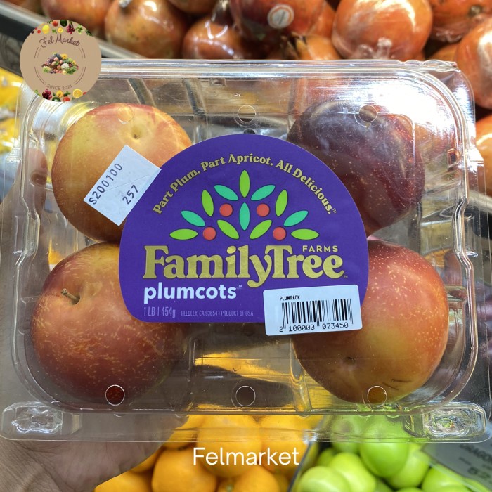 

Buah Plum Red Cot Fresh Import | Buah Plum Merah Super | Pack