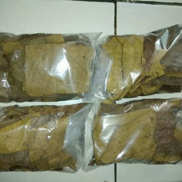 

Ready Daun jati kering 100 gram