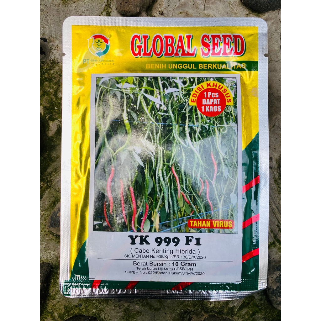 Benih cabai  keriting YK 999 F1 hibrida tahan virus kemasan 10 gr dari GLOBAL SEED