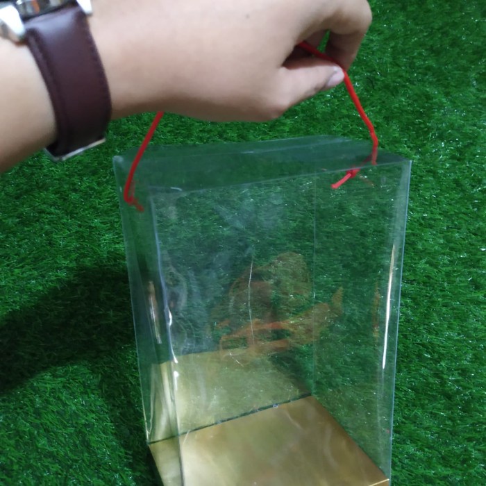 Box Mika Boneka Wisuda Medium 30cm